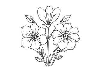 canterbury bells vector art