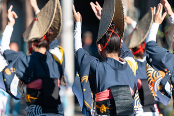 阿波踊り