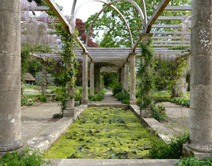 Stone pergola walkway with wisteria vines and lily-covered pond in a lush formal garden