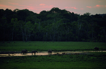 Congo-Brazzaville
