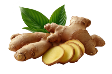 Fresh ginger root with slices and green leaves on a transparent background