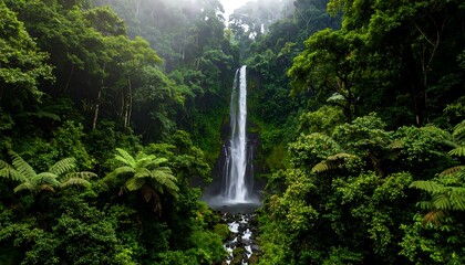 Waterfall in Rainforest with Mist