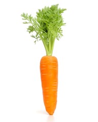 A single vibrant orange carrot with fresh green leafy tops stands upright against a clean white background, highlighting its healthy texture and root structure.