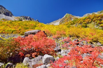 涸沢カールの紅葉と穂高連峰