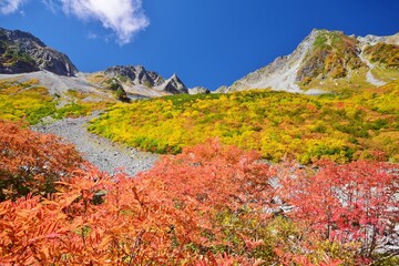 涸沢カールの紅葉と穂高連峰