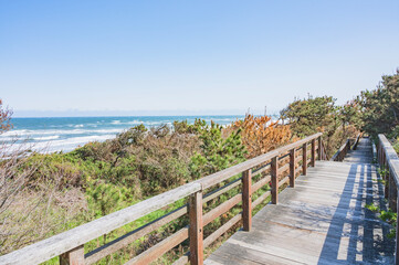 Obraz premium 茨城 大竹海岸（鉾田市）