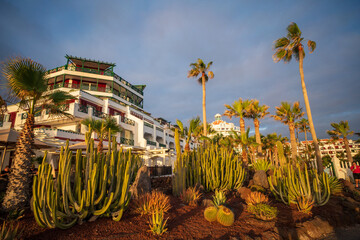 Playas de los americas, Tenerife, spain, canary islands 