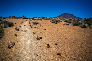 Landscape in Teide National parc, Tenerife, canaries island, spain. 