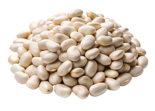 Lima bean  seeds isolated on white background