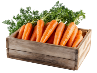A vibrant bunch of fresh carrots with lush green tops is presented in a rustic wooden box