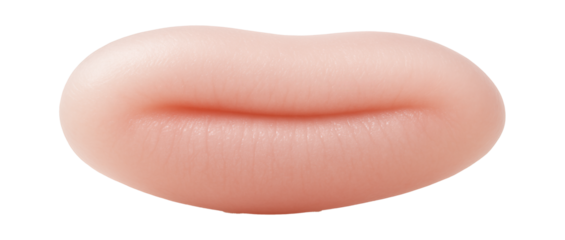 Early neurula stage embryo with elongated body and forming neural groove