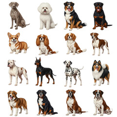 A diverse collection of dog breeds posed for a portrait