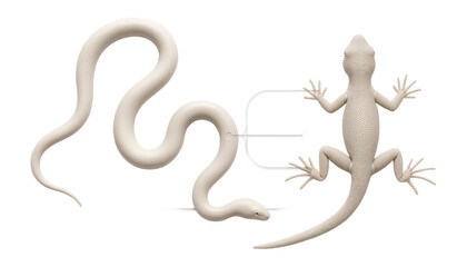 Fototapeta premium Morphological comparison of a snake and a lizard highlighting limb evolution.