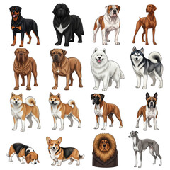 Fototapeta premium Collection of diverse dog breeds standing posed