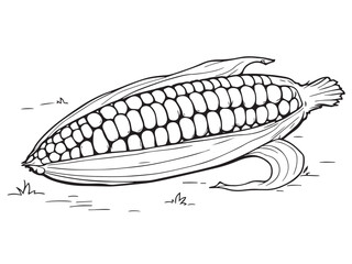 corn plant simple line drawing