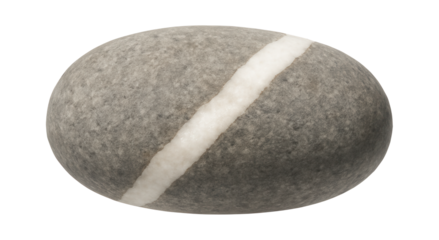 Pebble with a distinct white quartz vein running through it
