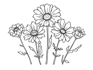 cornflower flower simple illustration
