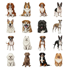 Collection of diverse dog breeds illustrated in a grid layout