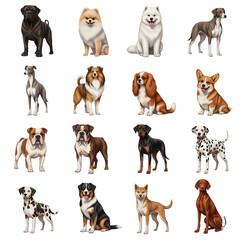 Fototapeta premium A diverse collection of dog breeds posed for portraits