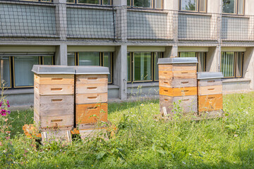 Beehive isolated