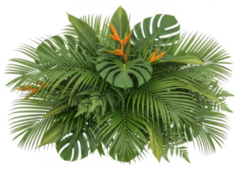 Tropical foliage arrangement with heliconia flower isolated on transparent background