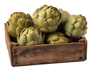 Obraz premium A rustic wooden box overflowing with a bounty of fresh, green artichokes