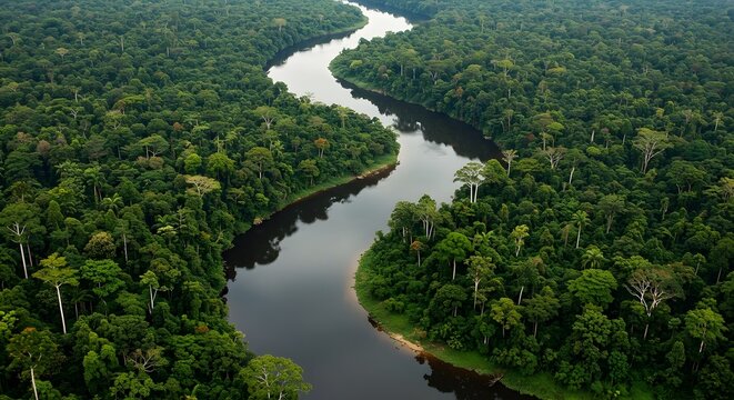 Aerial view of a winding river flowing through a dense, lush green rainforest canopy. The river curves through the landscape, reflecting the sky.