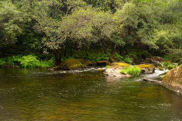 Mandeo River, Betanzos