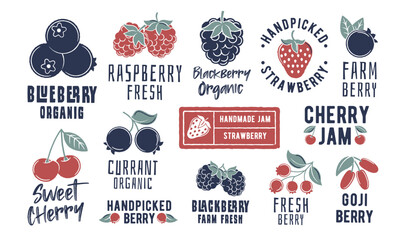 Berry logos. Large set of berry-themed minimal logos. Example: Blueberry, Raspberry, Strawberry, Cherry, Blackberry icon. Design signs for jam label, food branding. Vector illustration.