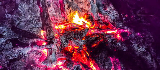 fire in the fire