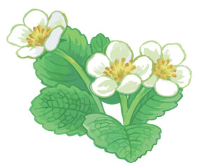 いちごの花のスケッチ素材。ベクターイラスト素材。
