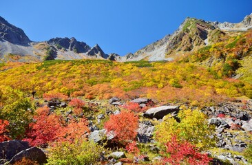 涸沢カールの紅葉と穂高連峰