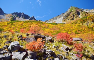 涸沢カールの紅葉と穂高連峰