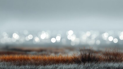 Misty field, city lights bokeh