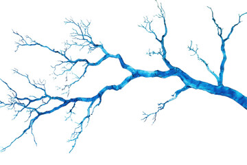 Obraz premium Abstract blue branching structure resembling a neuron or tree branch isolated on transparent background.