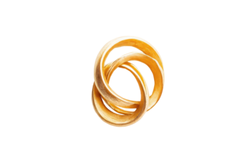 Fried brown onion isolated on transparent background. Golden brown onion rings isolated on white background.