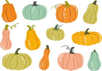 Set of pumpkins and gourds. Seasonal vegetables, autumn harvest. For fall decorations, food packaging, kitchen prints, seasonal illustrations.
