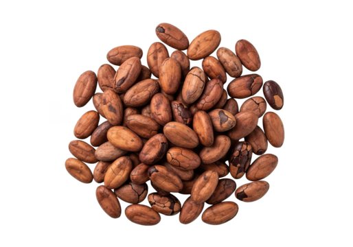Pile of Raw Cocoa Beans Scattered on Top Down View image