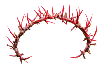 Crown of thorns religious artifact isolated on transparent background. Crown of thorns isolated on white background.