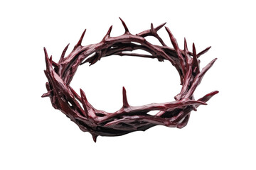 Obraz premium Thorny crown of woven branches isolated on transparent background. Crown of thorns isolated on white background.
