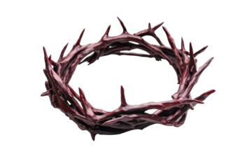 Thorny crown of woven branches isolated on transparent background. Crown of thorns isolated on white background.