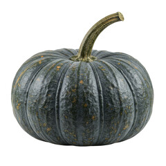Dark green kabocha squash with stem isolated on transparent background