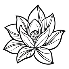 Black and white vector illustration of lotus and lily flowers