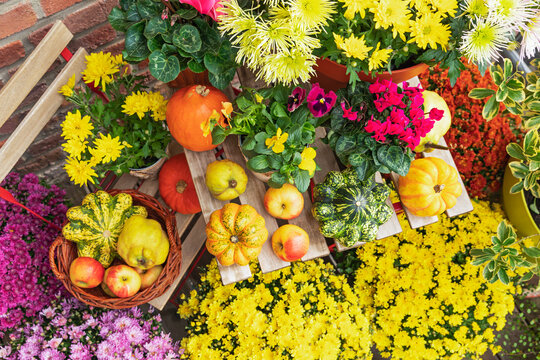 Autumn flower and fruit arrangement on balcony