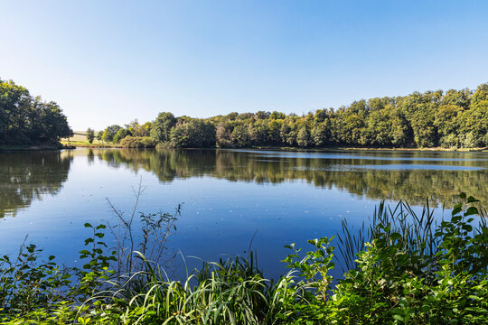 Holzmaar lake with forest reflection in Vulkaneifel nature reserve