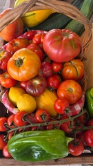 background of varied multi-colored vegetables and greens