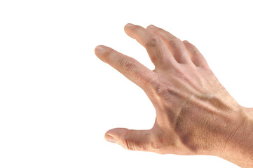 Hand 4