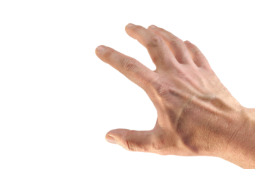 Hand 4