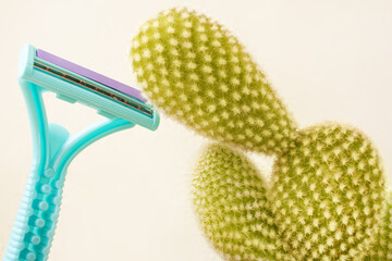 Razor with Prickly cactus on white background, a symbol of shaving