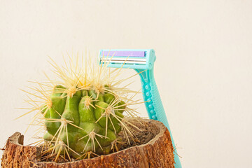 Prickly cactus with a razor, a symbol of shaving